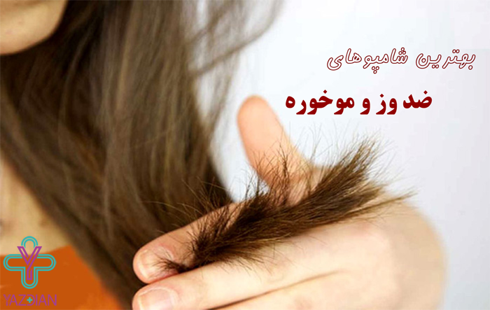 بهترین شامپو درمان کننده موخوره و وزی مو